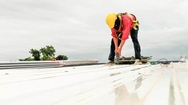 Best Roof Coating and Sealing  in Highland Heights, OH